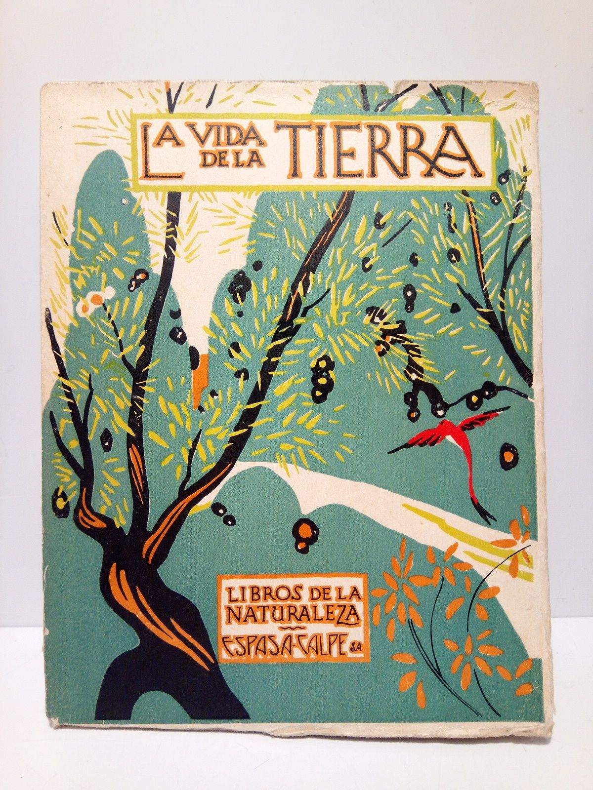 DANTIN CERECEDA, J. - La vida de la tierra