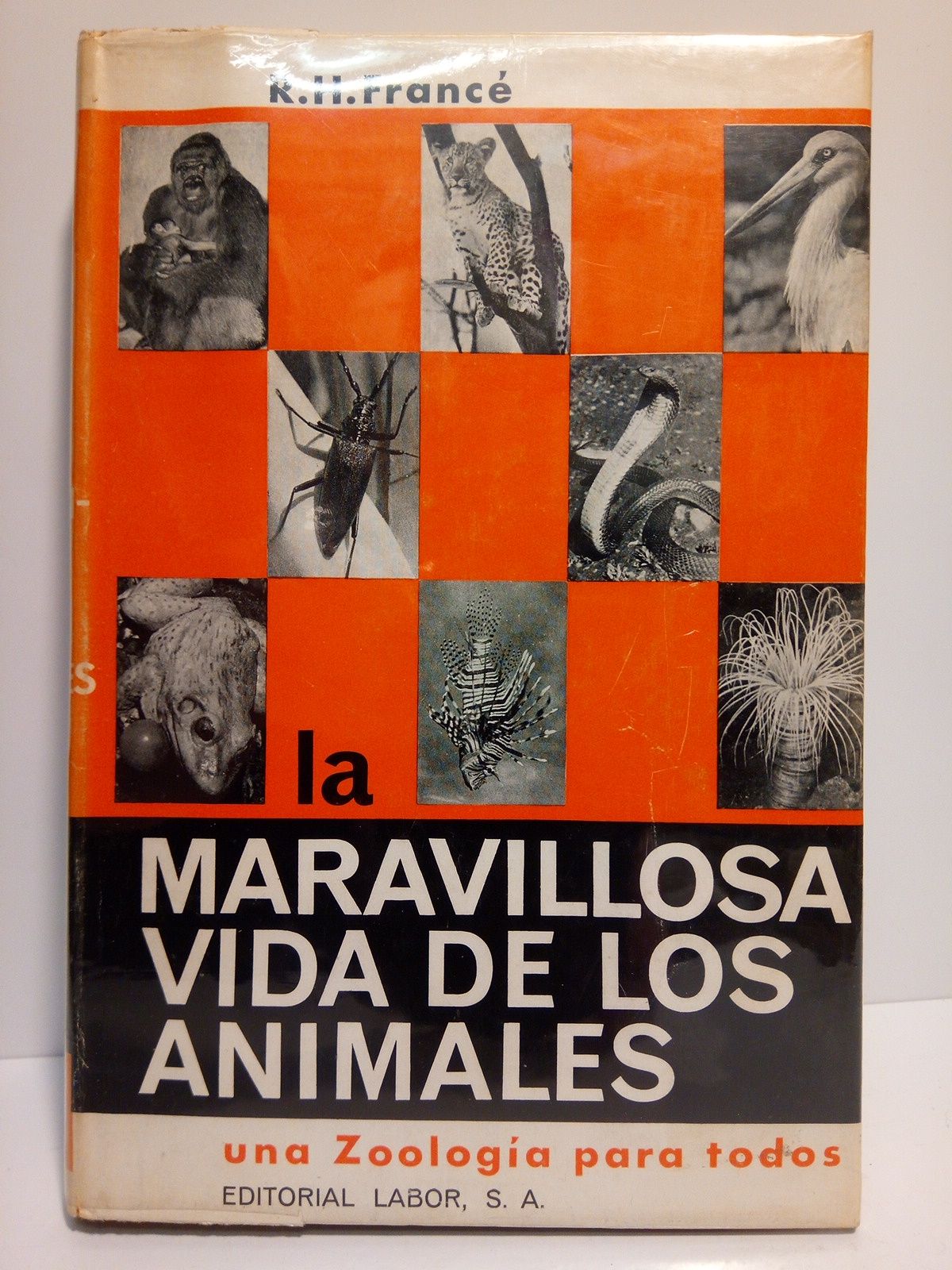 FRANCE, R. H. - La maravillosa vida de los animales: Una zoologa para todos /  Versin espaola por Julio Gadea