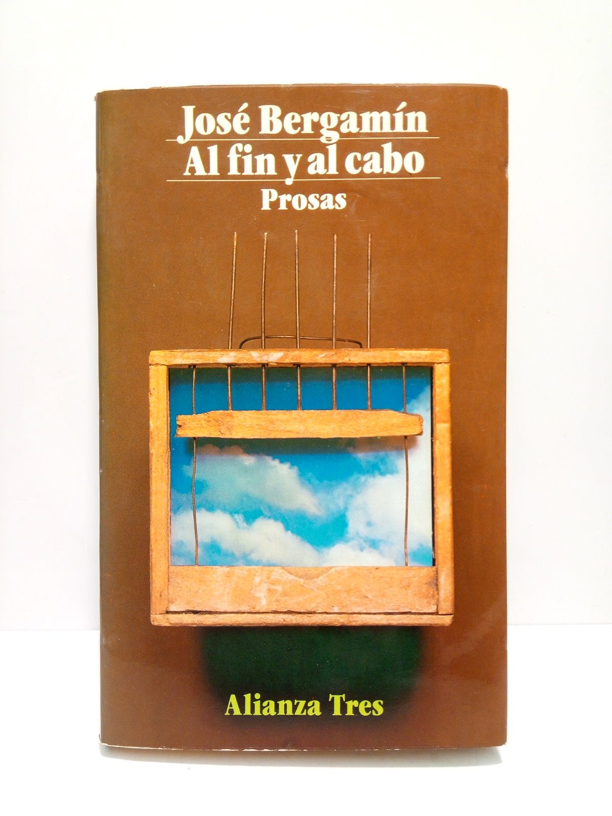 BERGAMIN, Jos - Al fin y al cabo (Prosas)