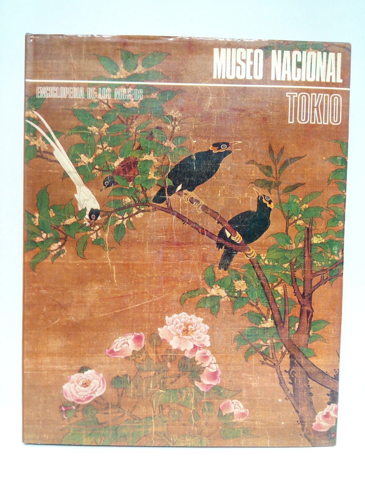 EDITORIAL ARGOS; (Textos de) Alberto Giuganino, y Adolfo Tamburello - Tokio: Museo Nacional /  Presentacin, por Nagatake Asano; Prefacio, de Jo Okada; Traduccin, de Mximo Cortini, y Xabier Gispert