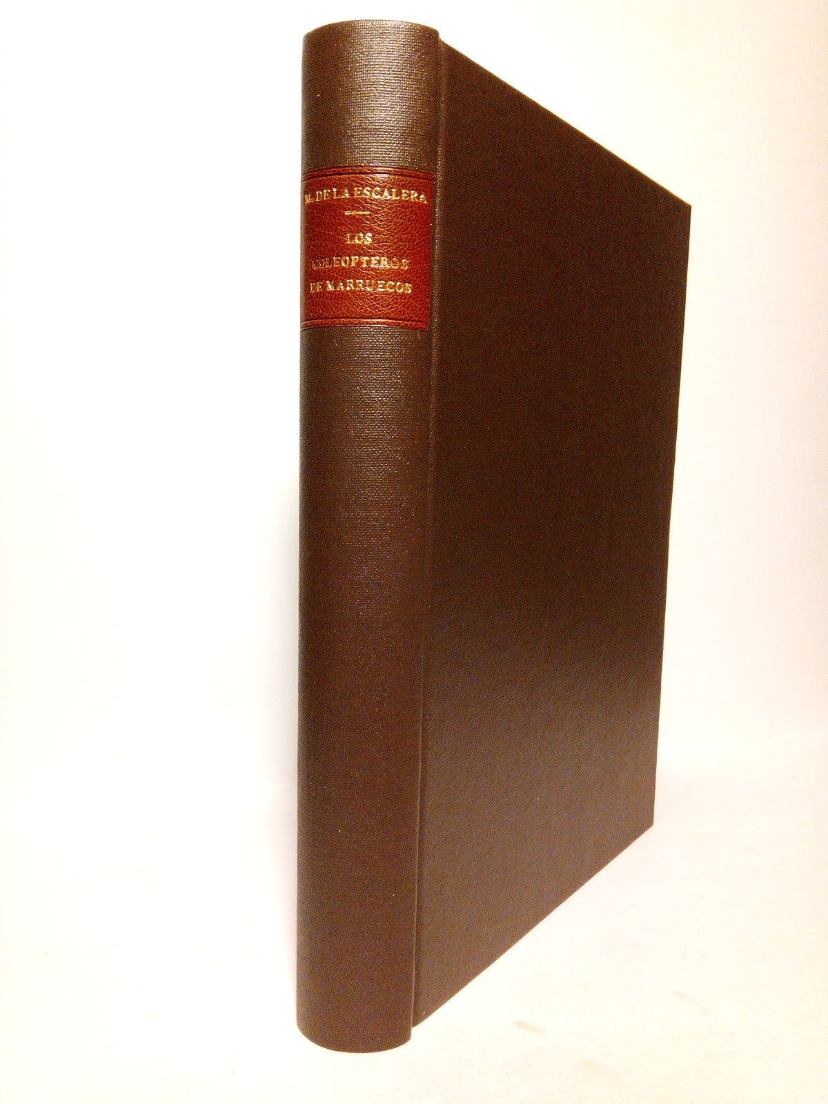 MARTINEZ DE LA ESCALERA, Manuel - Los colepteros de Marruecos