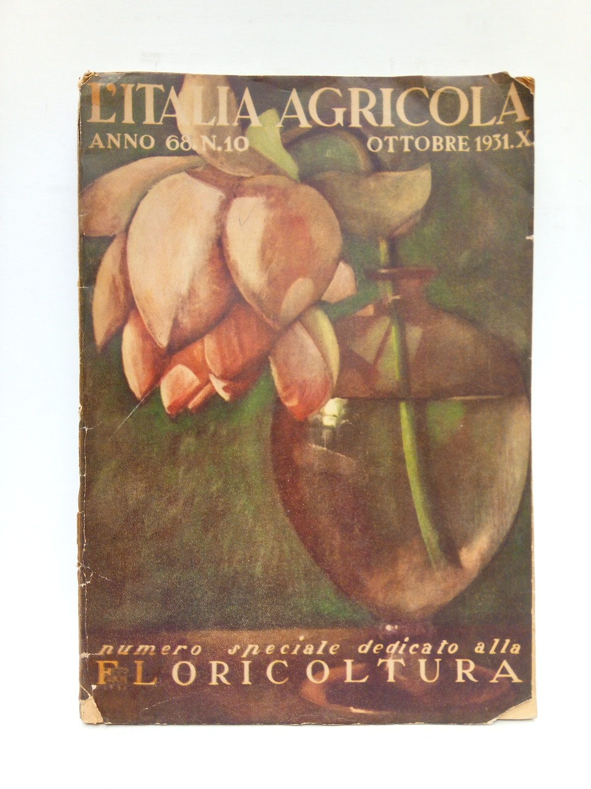 L'ITALIA AGRICOLA - Rivista Mensile Illustrata. Anno 68. N 10. Ottobre 1931. Numero speciale dedicato alla Floricoltura