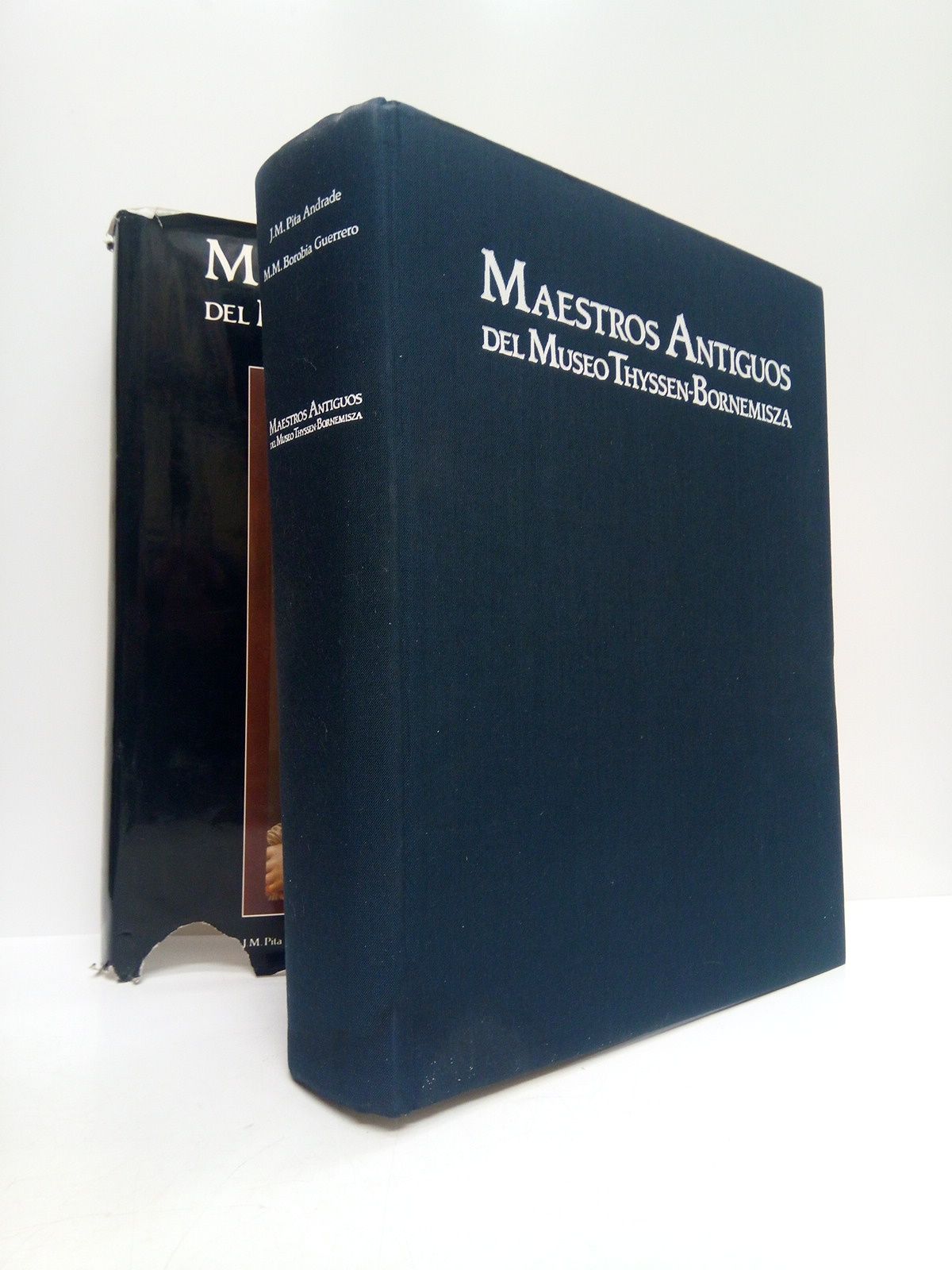 PITA ANDRADE, Jos Manuel y Mara del Mar Borobia Guerrero - Maestros Antiguos del Museo Thyssen-Bornemisza