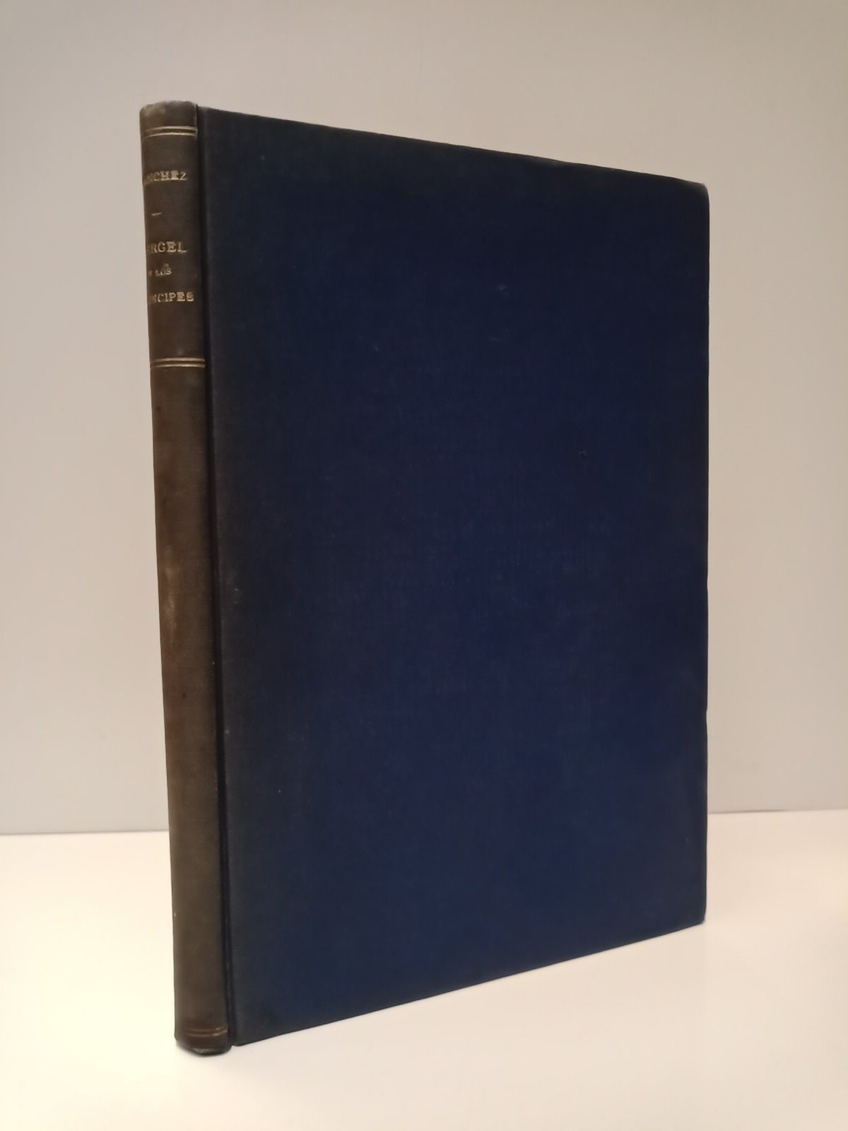 SANCHEZ DE AREVALO, Ruy - Verjel de los Prncipes, por... Den de Sevilla. (Cdice del siglo XV) /  [Introduccin] por Francisco R. de Uhagn