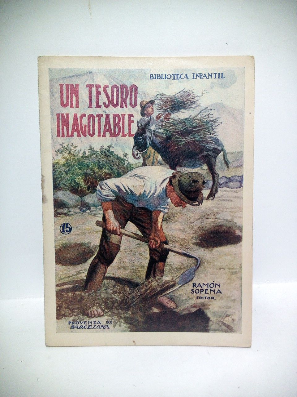 BIBLIOTECA INFANTIL. N 015 - Un tesoro inagotable
