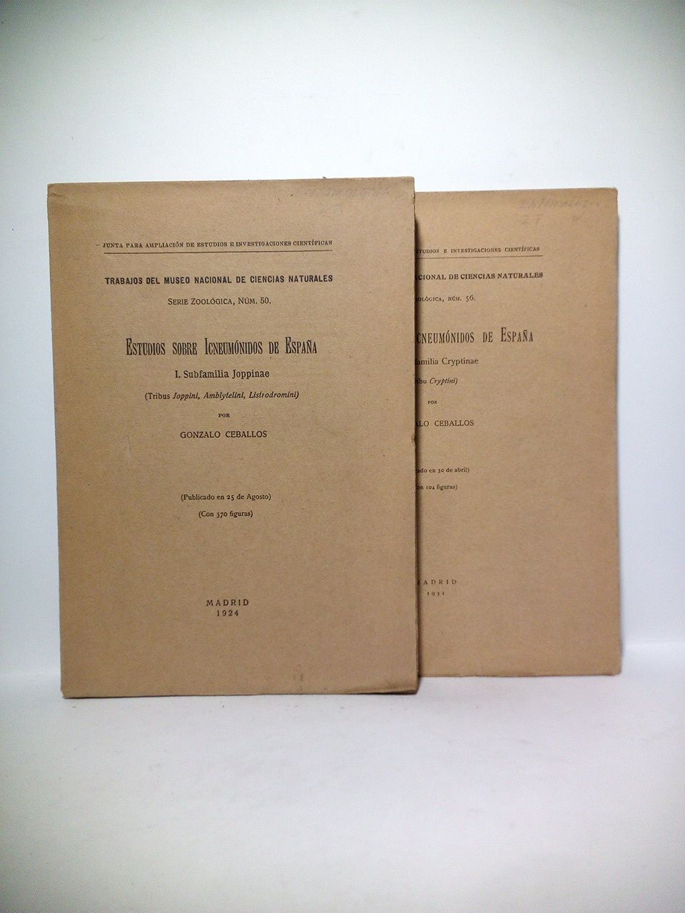 CEBALLOS, Gonzalo - Estudios sobre Icneumnidos de Espaa. I.: Subfamilia Joppinae (Tribus Joppini, Amblytelini, Listrodromini). II.: Subfamilia Cryptinae (Tribu Cryptini). [2 TOMOS]