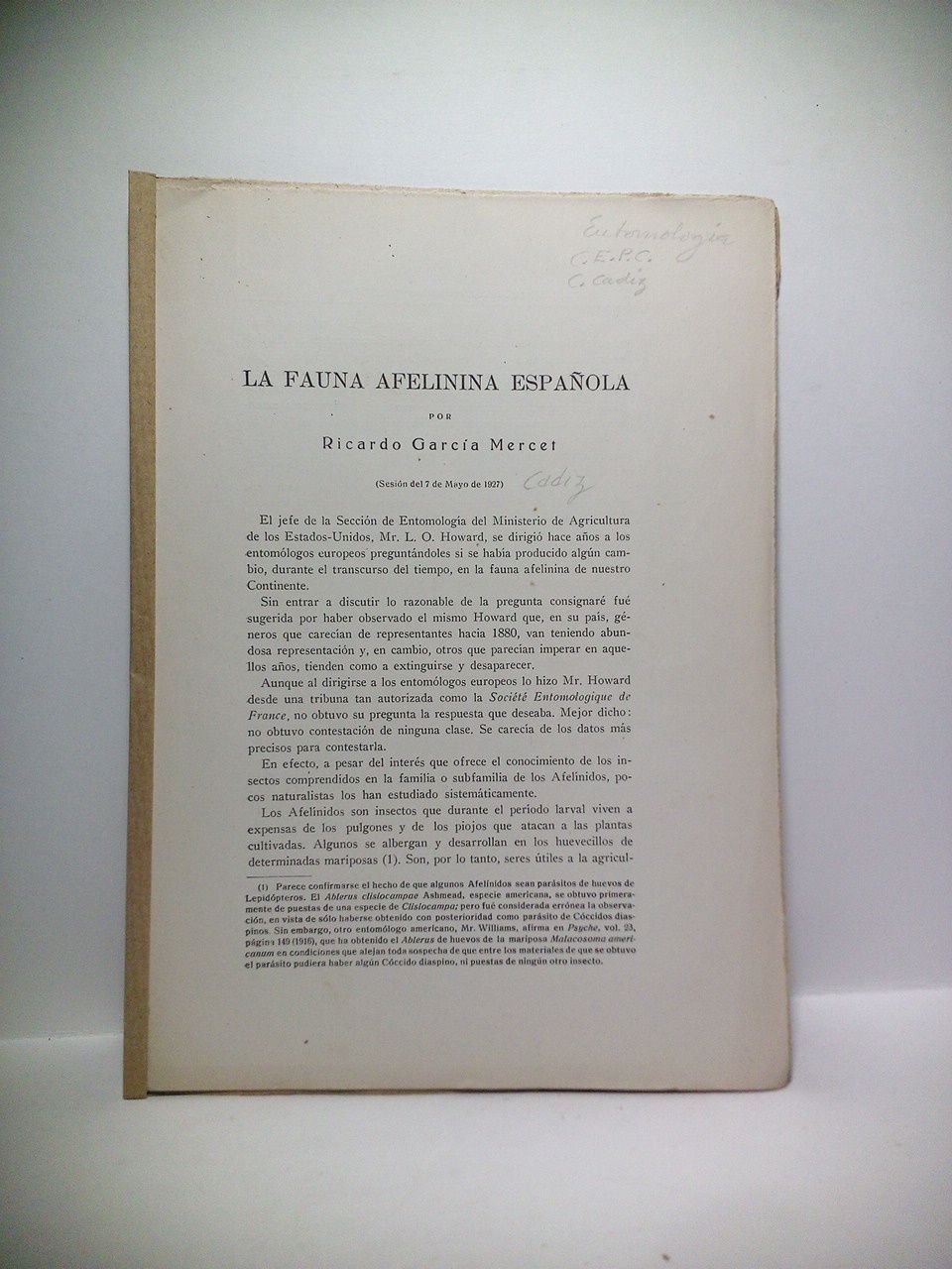 GARCIA MERCET, Ricardo - La fauna afelinina espaola