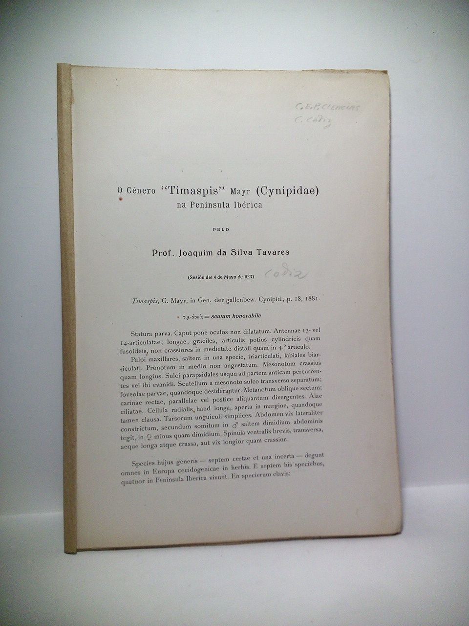 SILVA TAVARES, Prof. Joaquim - O Gnero 