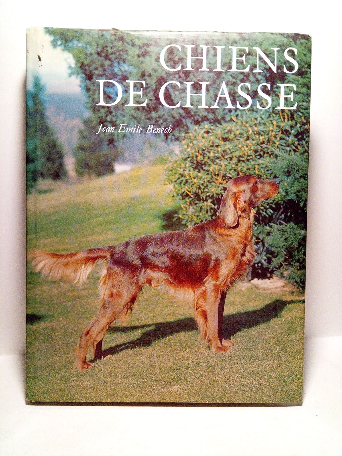 BENECH, Jean Emile - Chiens de Chasse