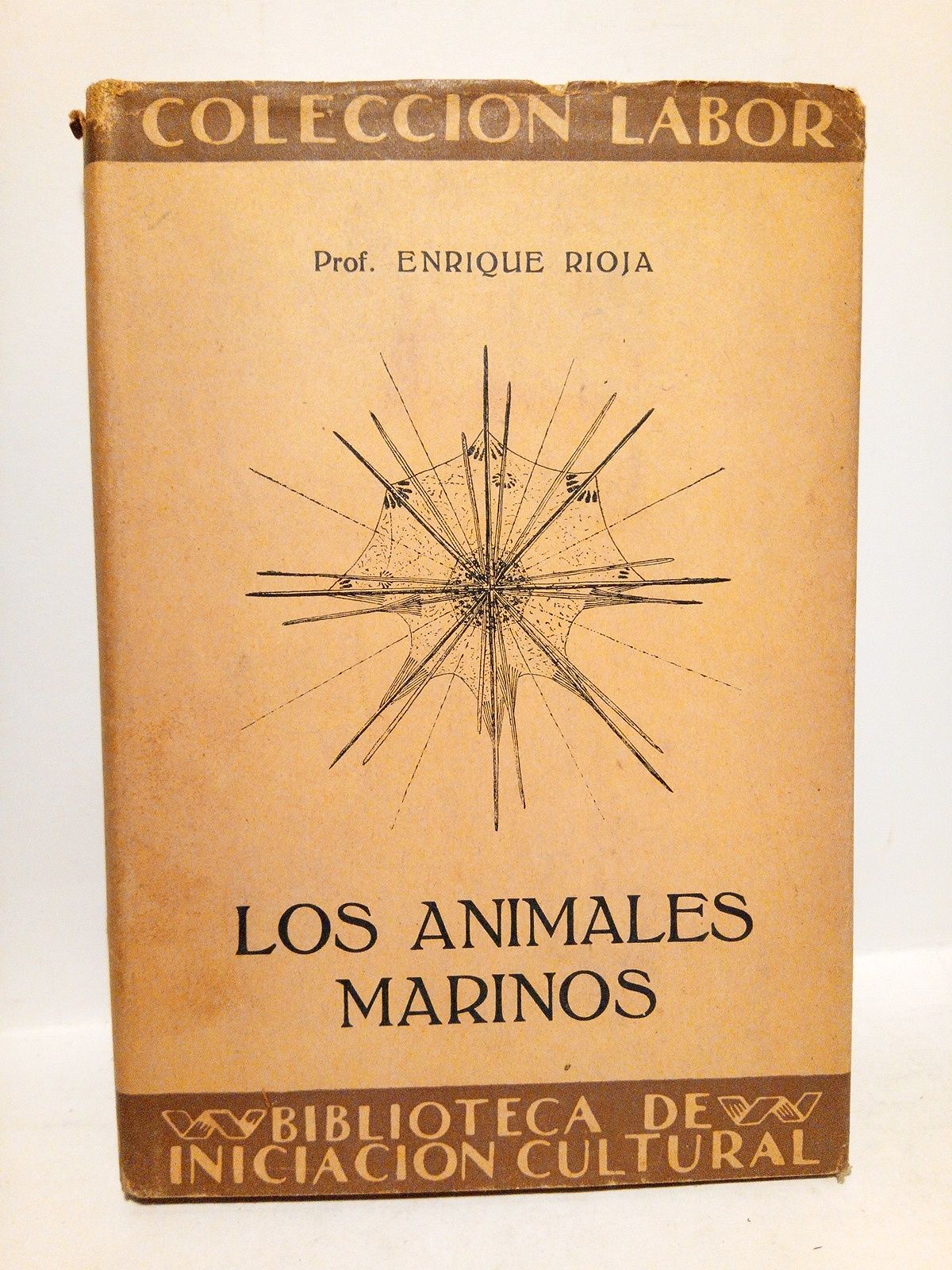 RIOJA, Enrique - Los animales marinos