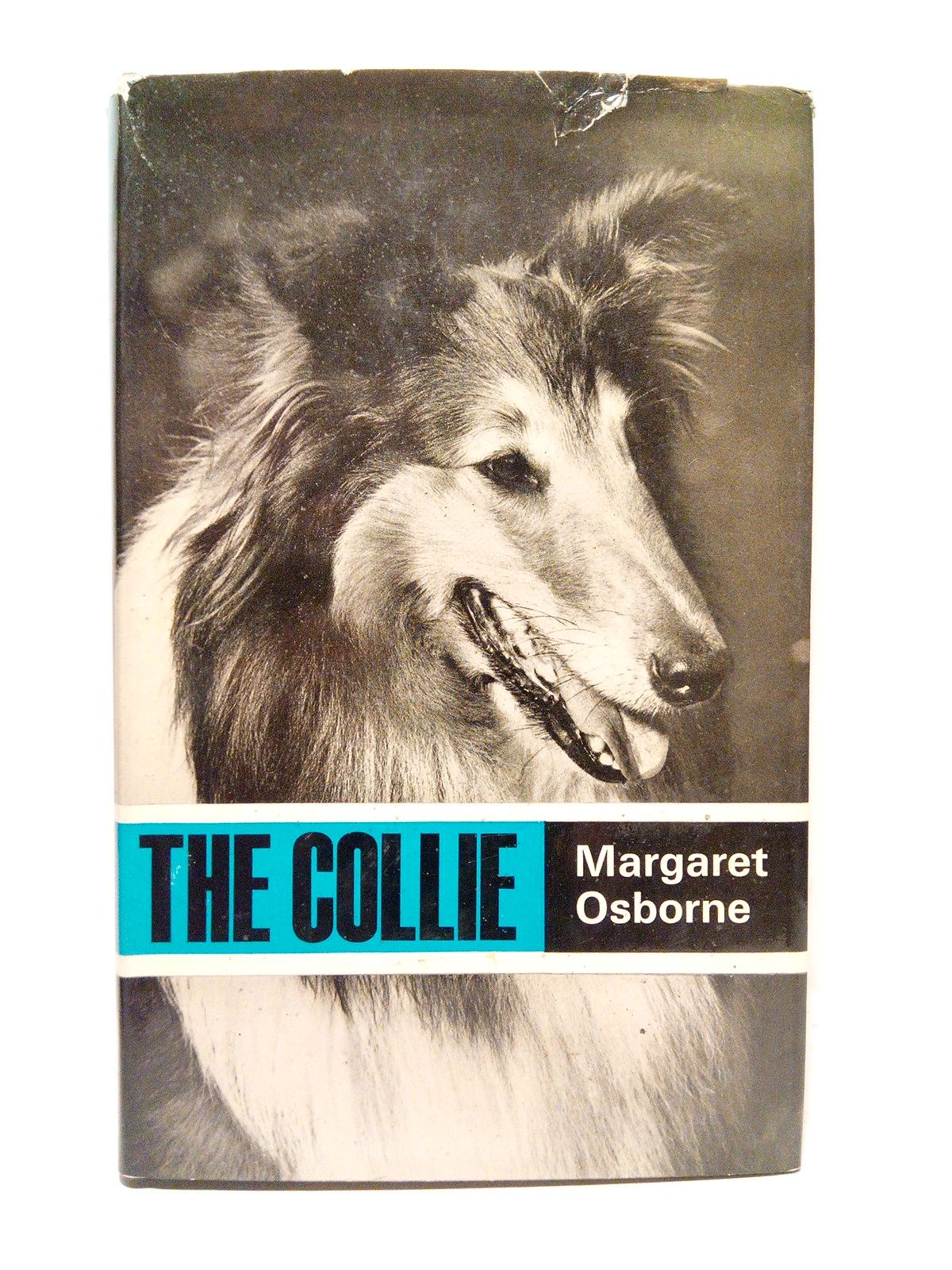 OSBORNE, Margaret - The Collie