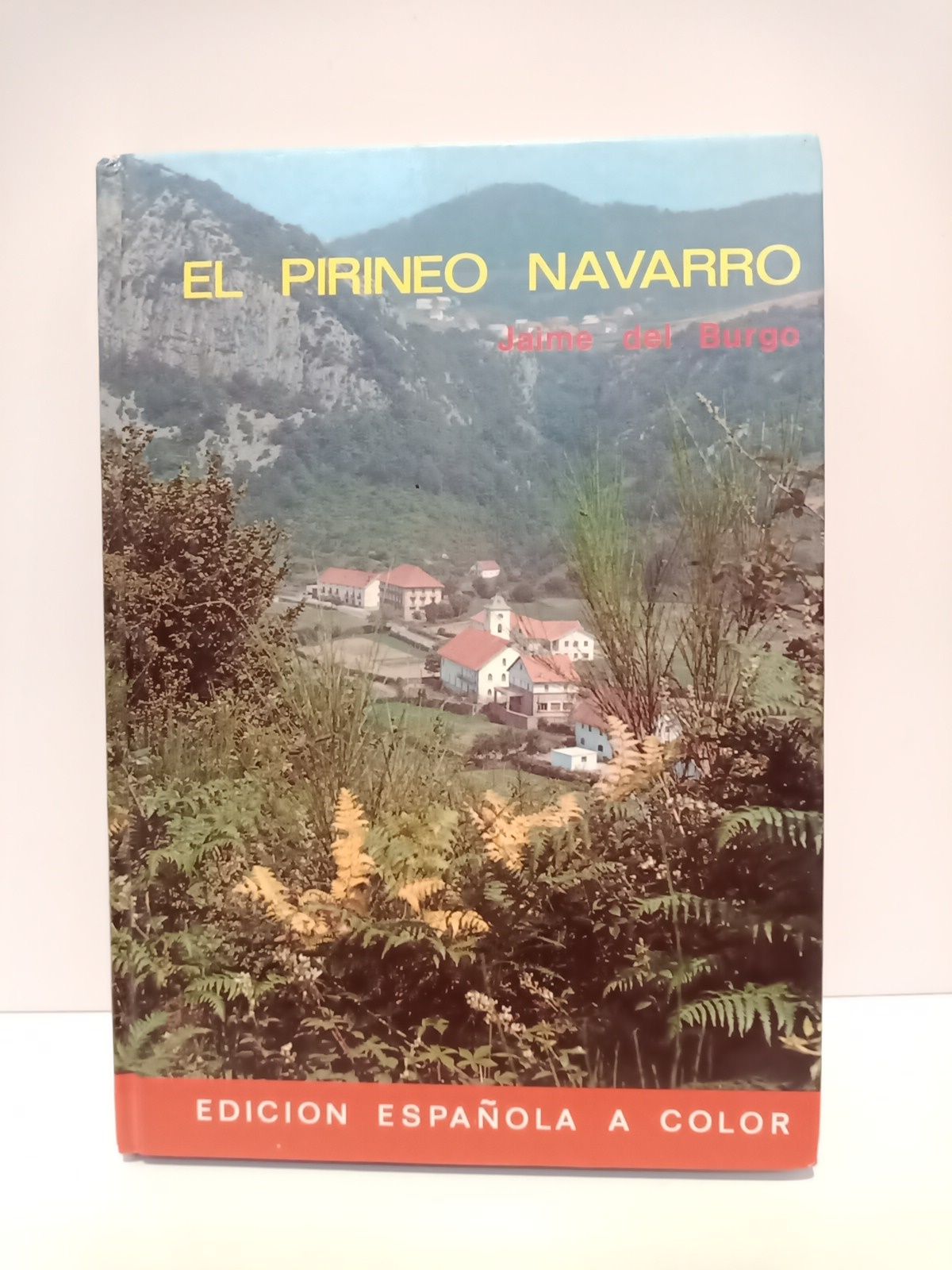 BURGO, Jaime del - El Pirineo Navarro