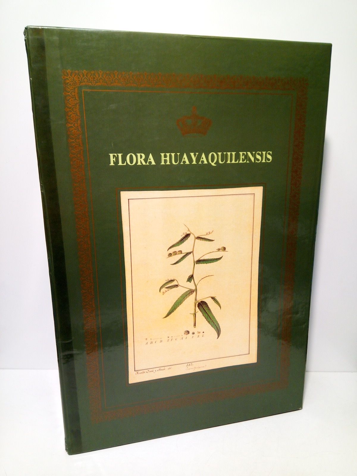 TAFALLA, Johanne [Juan] - Flora Huayaquilensis sive descriptiones et icones plantarum huayaquilensium secundum systema linnaeanum digestae, auctore... /  Introductio historica et adnotationes ab Eduardo Estrella confectae et descriptiones. Tomus I: Descriptiones; Tomus II: Icones
