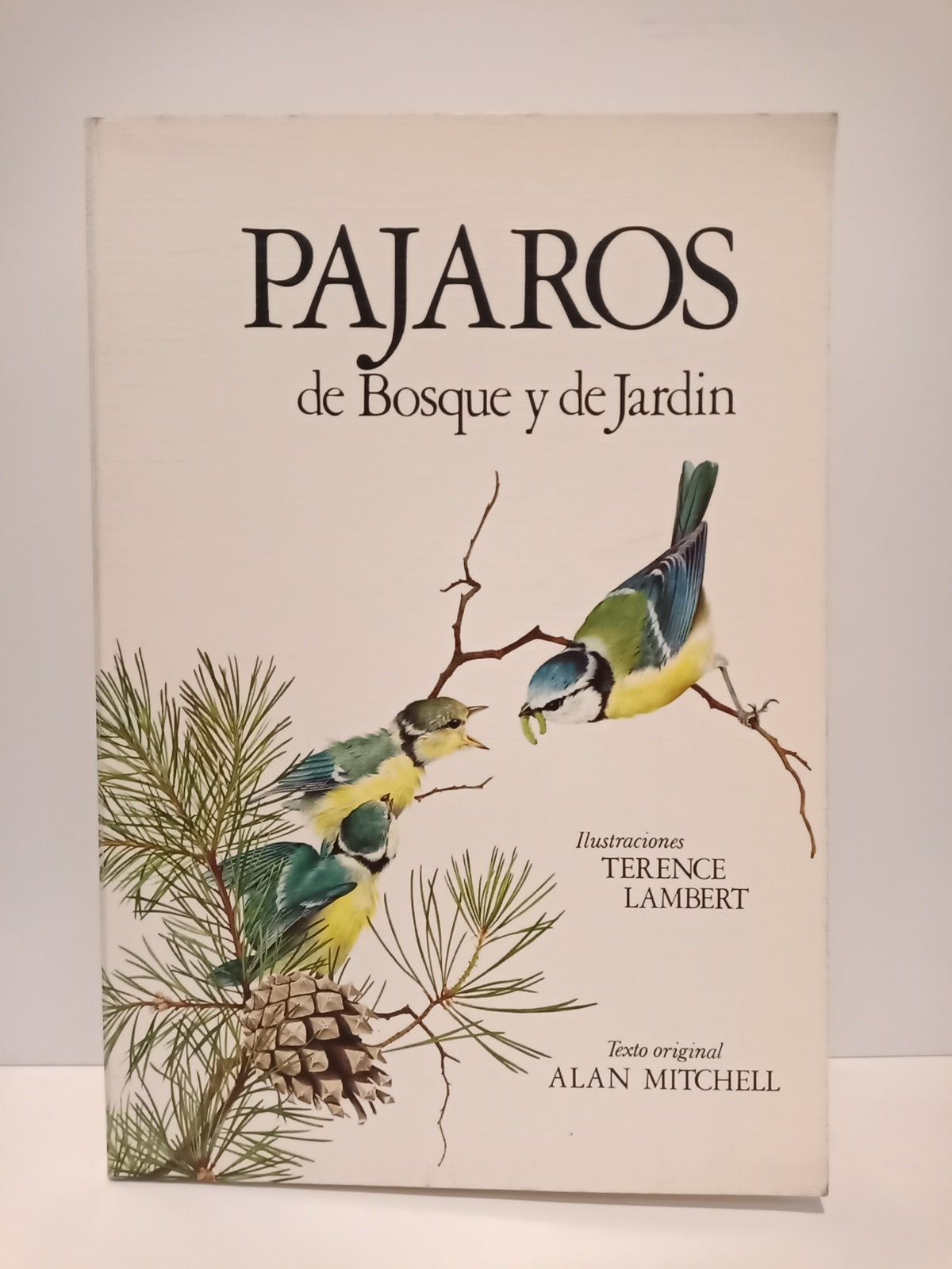 MITCHELL, Alan - Pjaros de bosque y de jardn /  Ilustraciones de Terence Lambert; versin espaola por Pedro Mara Iraolagoitia