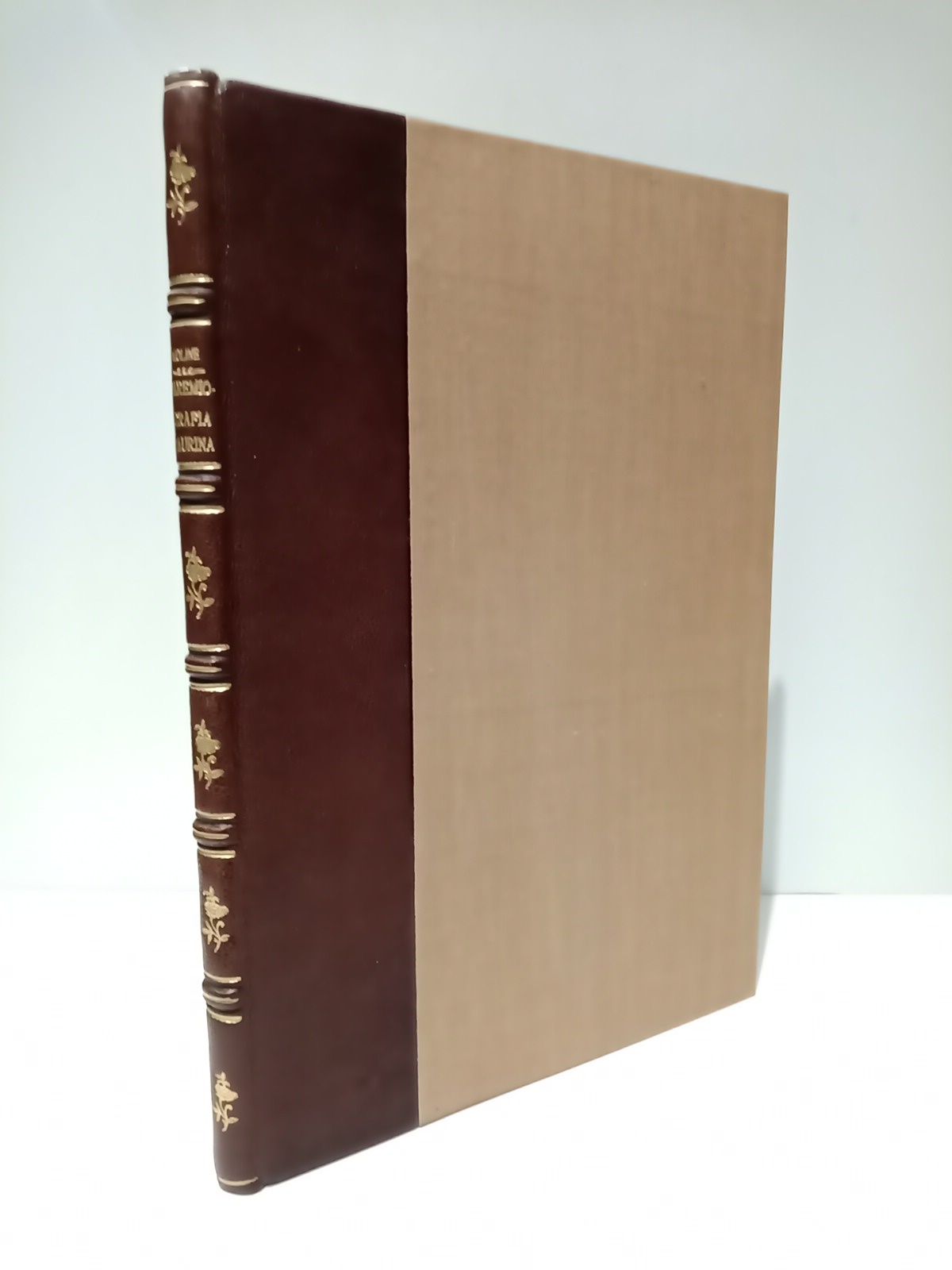 MOLINE Y ROCA, Miguel - Paremiografa taurina: Coleccin de pensamientos, mximas y trozos escojidos de diferentes obras y diversos autores, ordenada y aumentada con otros originales /  Prlogo de D. Lus Carmena y Milln