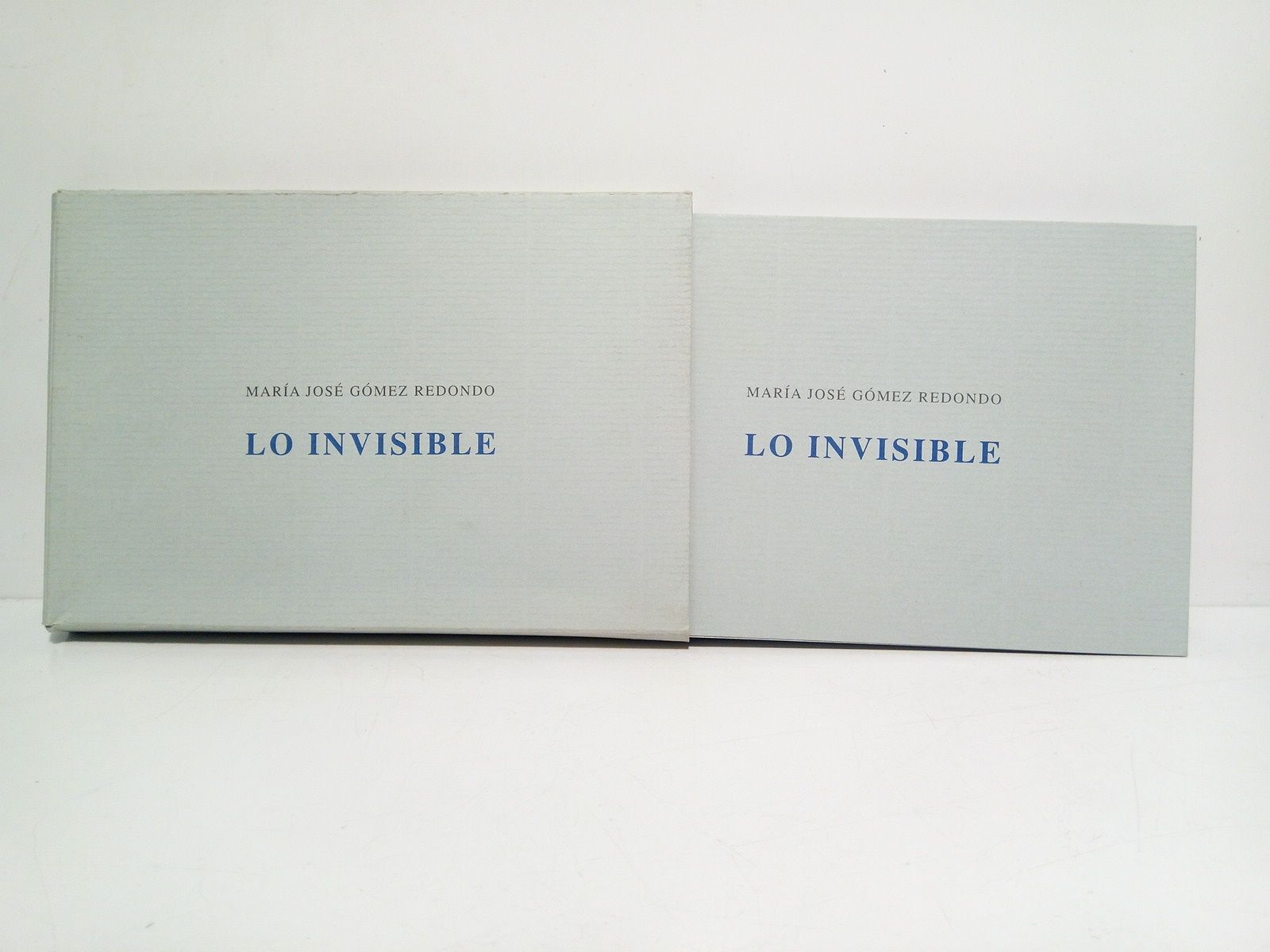 GOMEZ REDONDO, Mara Jos - LO INVISIBLE /  Imgenes originales de Mara Jos Gmez Redondo