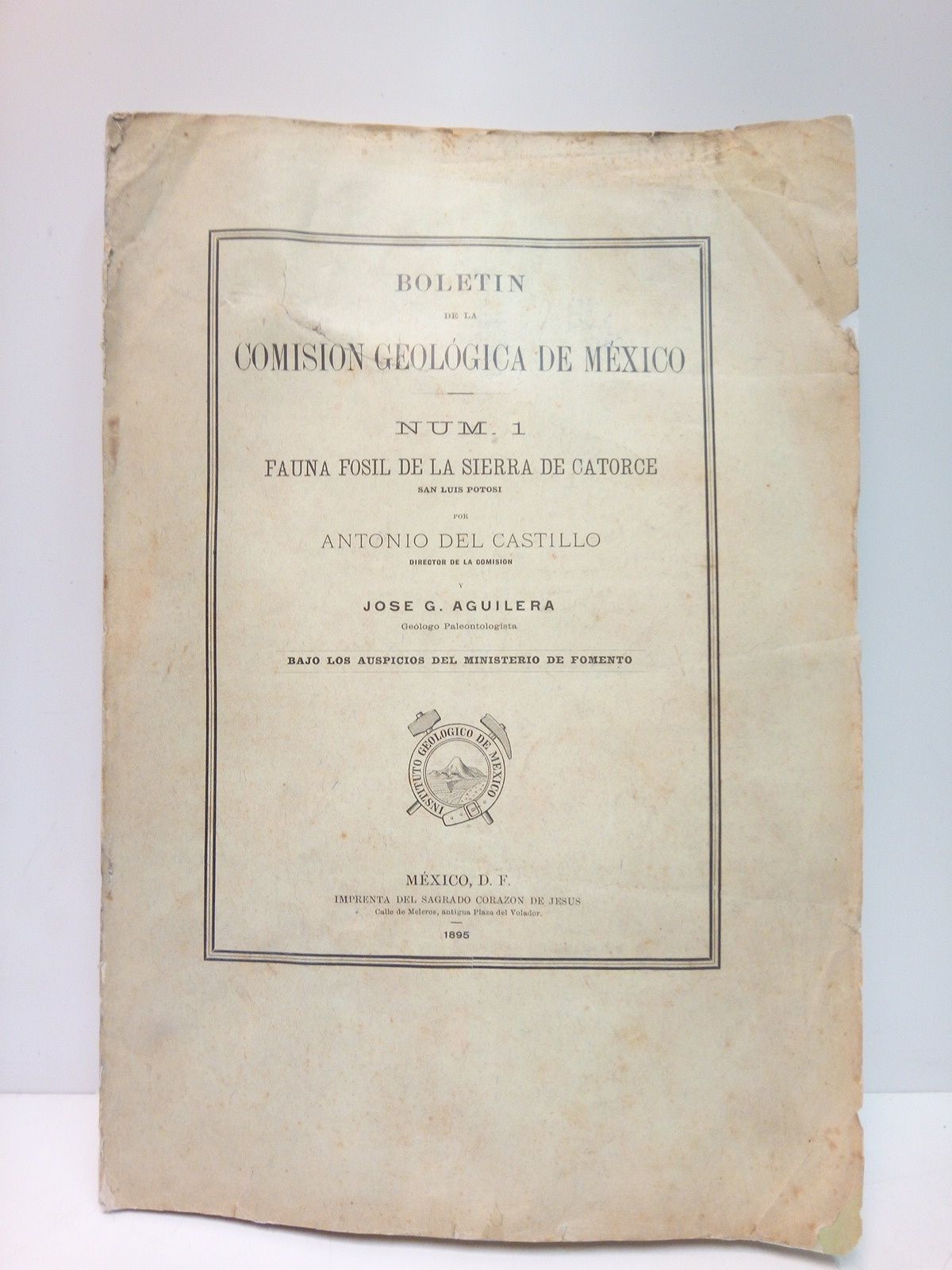 CASTILLO, Antonio del y Jos G. Aguilera - Boletn de la Comisin Geolgica de Mxico. Num. 1: Fauna Fosil de la Sierra del Catorce /  Por Antonio del Castillo y Jos G. Aguilera, bajo los auspcios del Ministerio de Fomento