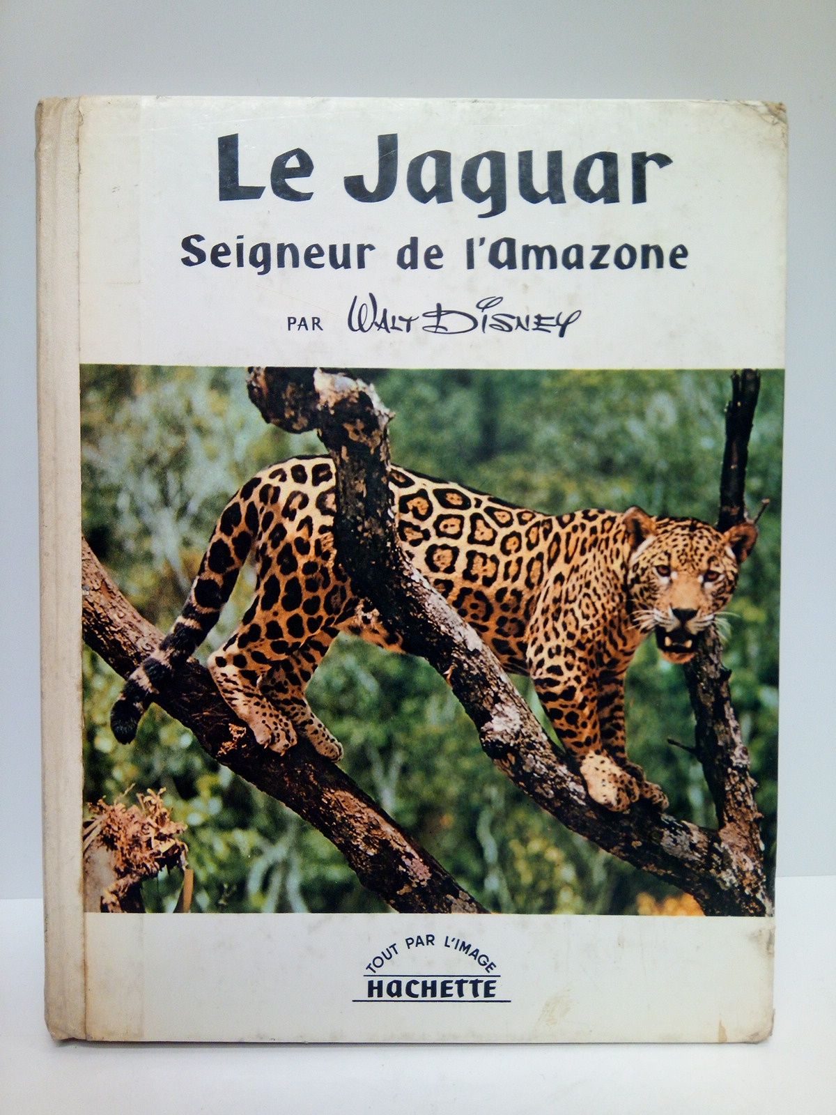 DISNEY, Walt - Le jaguar, seigneur de l'Amazone /  Les images sont de James R. Simon, Hugh A. Wilmar, Lloyd Beebe; Le texte de James Ferguson; adapt par Vezio Melegari; a t traduit par Magali Jahan