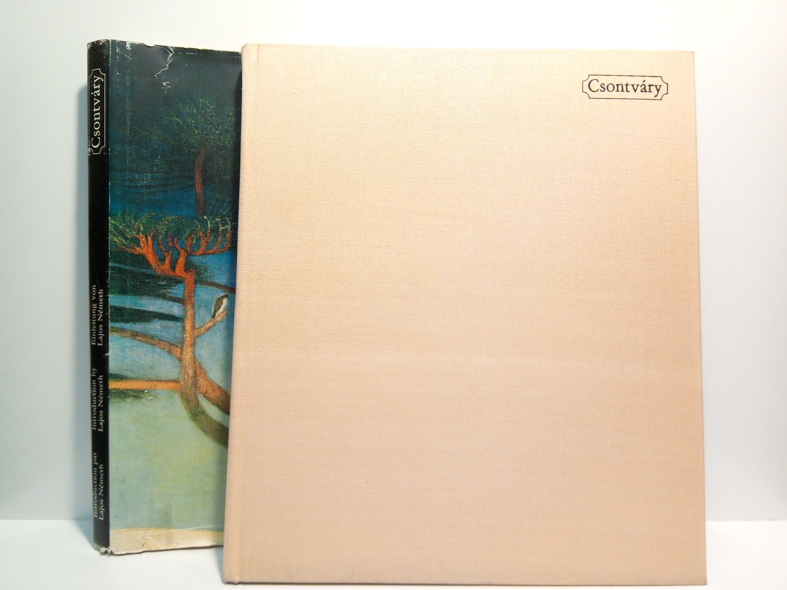 NEMETH, Lajos - CSONTVARY [monografa sobre el pintor hungaro  